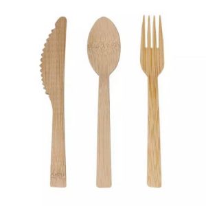 Disposable Tableware